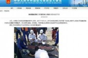 新船员最新爆料新闻事件,揭秘海上惊险事件背后的真相