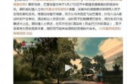 巴厘岛命案最新爆料视频,疑点重重，真相渐浮水面