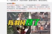 湖北陈女士最近爆料视频,揭露惊人内幕，引发社会关注