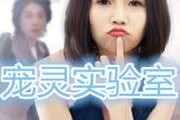 灵宠实验室在线观看,揭秘神秘生物的奇幻之旅
