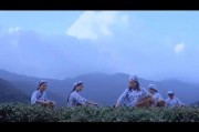 茶生活爆料视频,揭秘茶生活爆料视频背后的精彩瞬间
