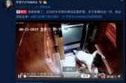 网友爆料某小区家暴视频,暴力阴影下的家庭悲剧
