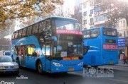 新乡公交车爆料视频曝光,新乡公交车爆料视频揭露惊人内幕